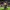 Messi Funko pop Goal World cup 2026