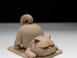 Grumpy Cat Does Yoga (Badly)