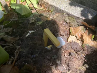 Peg