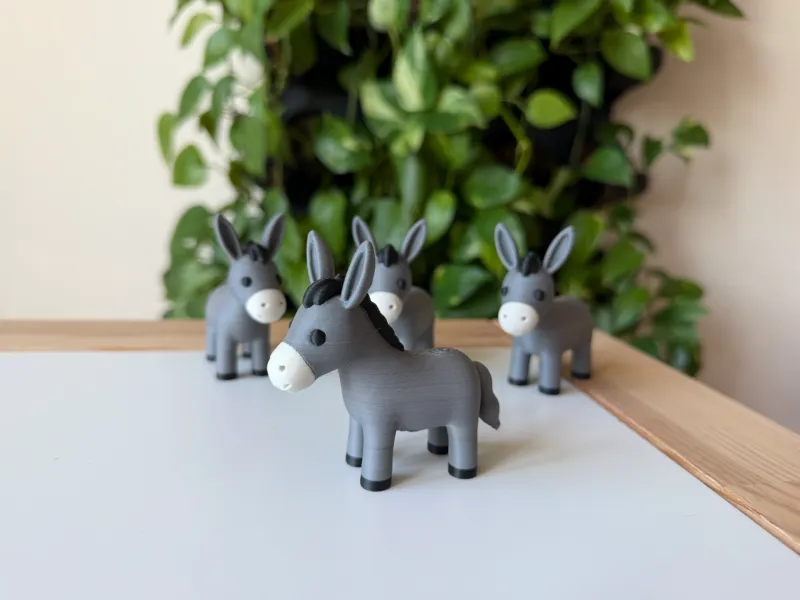 Donkey
