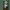 Hekate: Drei Gesichter des Schicksals