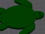 turtle-0