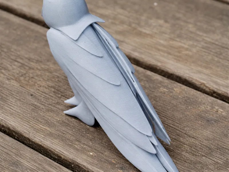 Barn Owl