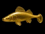 Paddletail softbait-0
