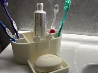 Toothbrush & Soap dish