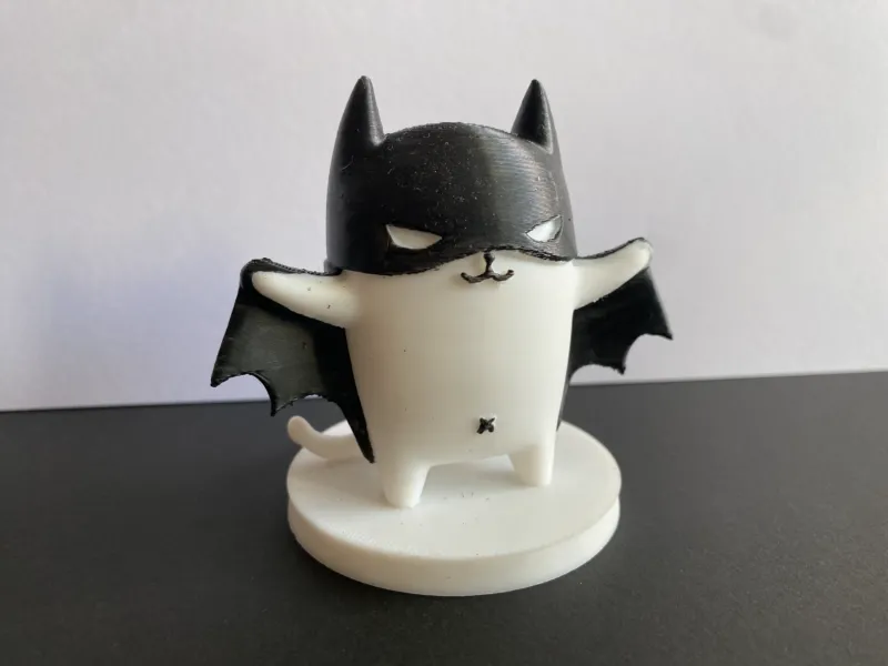 Bat Cat Superhero