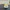 Canard en caoutchouc Rick Sanchez | CFS et sans CFS
