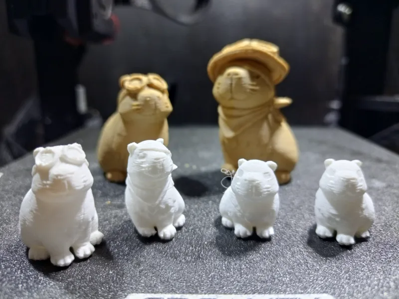 Capybara Collection: Adorable Capybaras with & without Ha