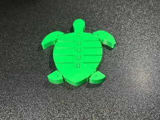 Flexible Sea Turtle