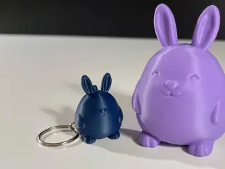 Cute Rabbit