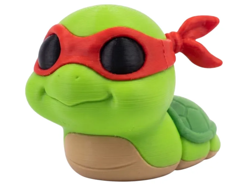 Shelly the Turtle Hero