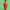 Low Poly Carrot 3D Model
