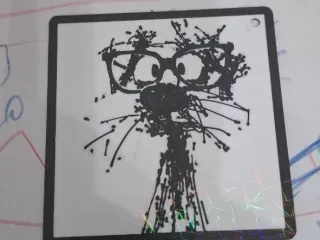 gato peludo