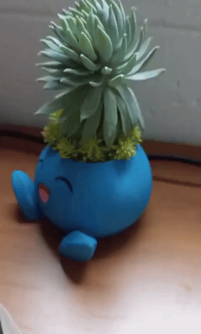 Pot pour succulentes