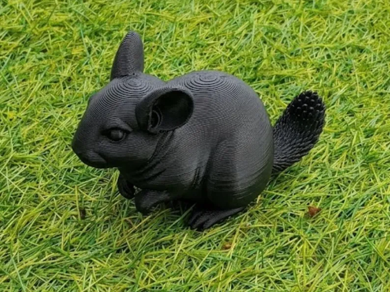 Chinchilla – Realistic Detailed Rodent