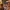 Bavarian Brew – Bottle & Can Opener | Oktoberfest Edition