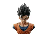 Gohan Bust - Dragon Ball Z Ultimate Warrior: High Detail 3D-0