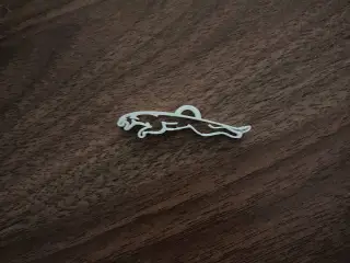 A Jaguar For Keychains!