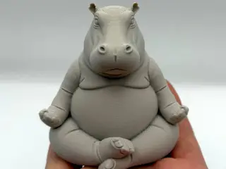 Meditating Hippo