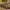 French tank 1940 WW2 for tabletop game Hotchkiss
