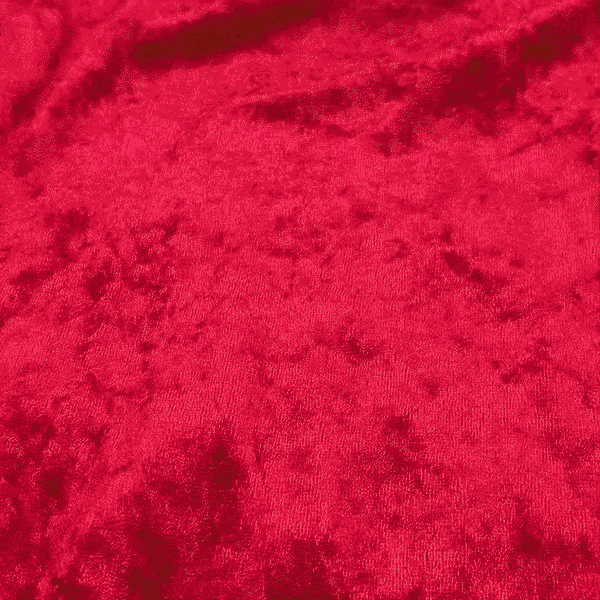 Universal TCG Card Case Fully Closed 60 Sleeved Cards | MTG