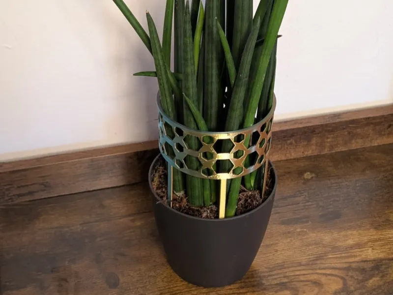 植物支撑环