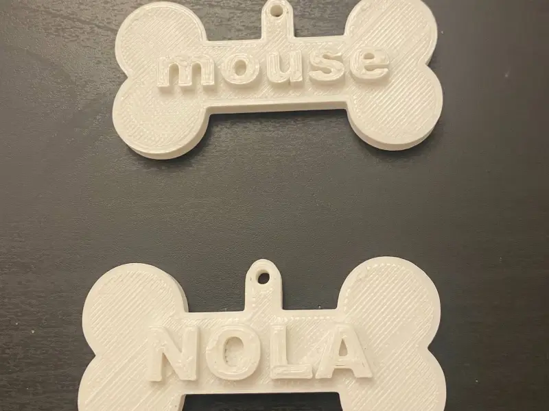 Custom pet tag