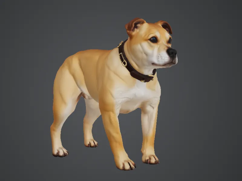 Staffordshire Bull Terrier