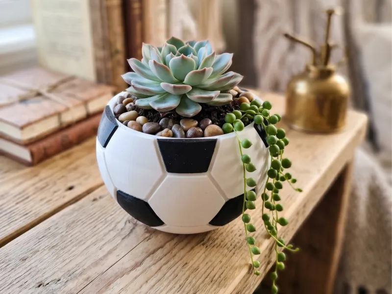 Soccer Ball Planter / Maceta Balon / Succulent Cactus Pot