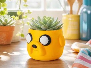 Adventure Time Jake Inspired Bowl & Succulent Pot