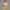 Yellow ranger