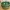 The Earth Store Glam Green Ceramic Bowl Set of 2
