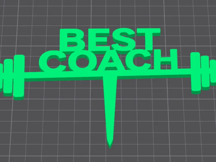 Best Coach