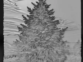 fir tree