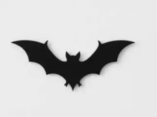 bat
