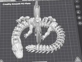 Big Gras Dragon - Winged  - Articulated - Flexi