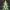 6 Number - Christmas Tree with Baubles, Tinsels and Star