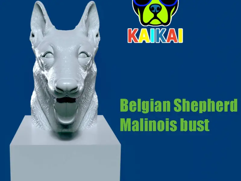 DOG - Belgian Shepherd HEAD MODEL - 3d PRINT