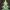 9 Number - Christmas Tree with Baubles, Tinsels and Star