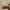 Squirrelight -e14 wall sconce-