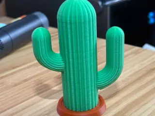 Cactus Toothpick Holder