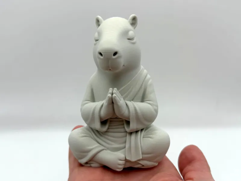 Peace Zen Capybara