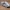 KN-09 (multiple rocket launcher)
