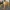 Headcrab Inspirado em Half-Life | Figura de Arte de Fã Detalhada