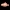 penis Fish