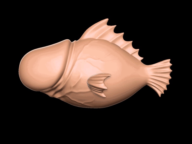 penis Fish