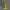 Trofeo de Campeonato NBA
