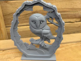 Owl 