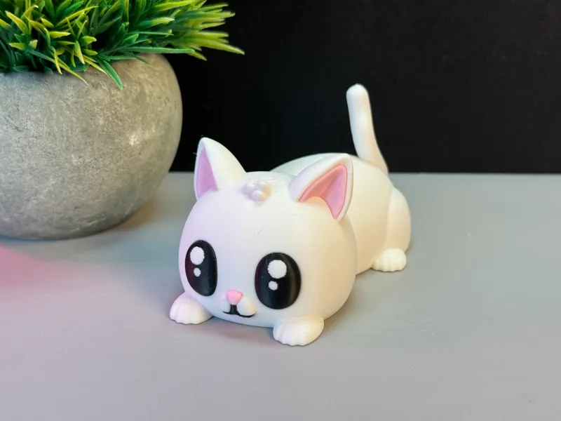 Gatinho Fofo