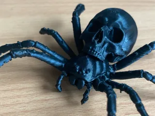 The most realistic skull spider